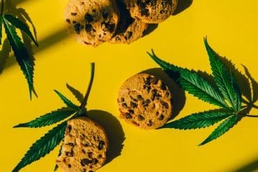 Photos of marijuana leaves and cookies by Nataliya Vaitkevich for Pexels