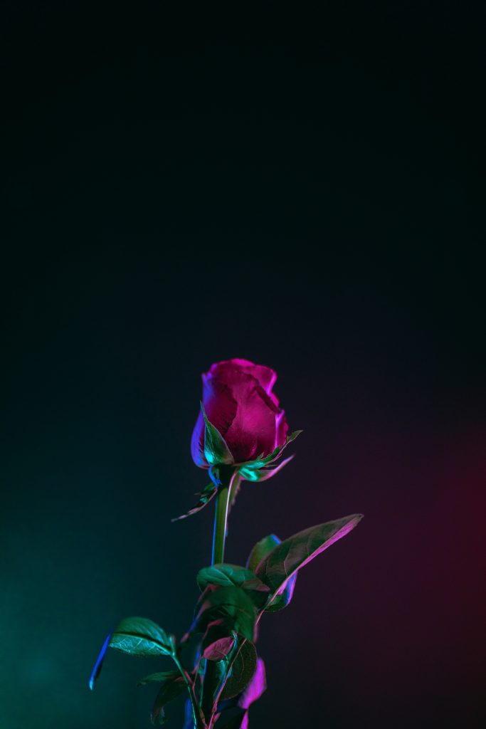 Image by Dương Trần Quốc for Unsplash